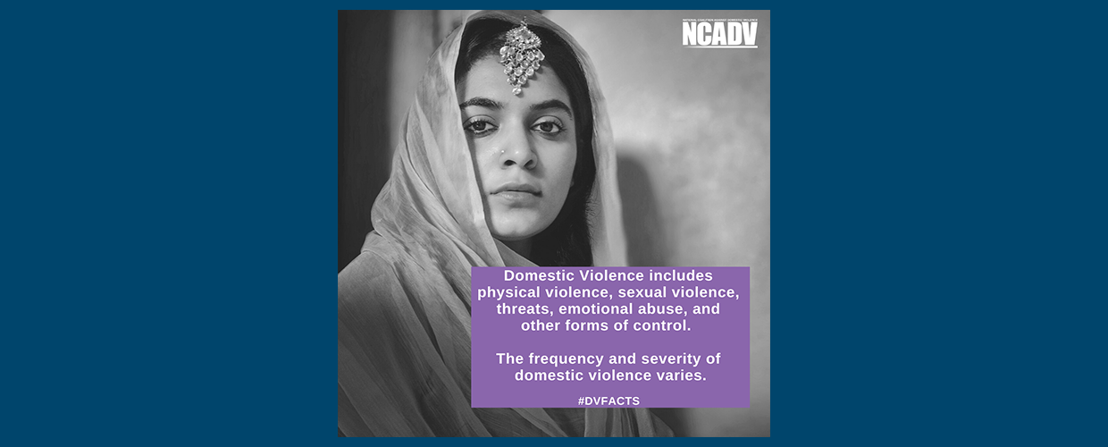 Slider_Image 2. domestic violence includes by NCADV