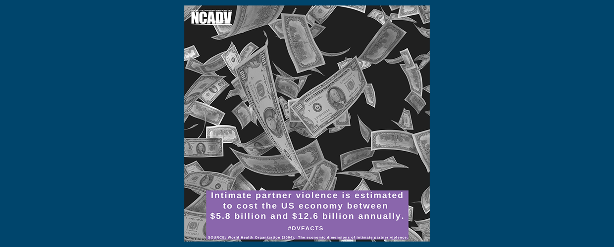 Slider_Image 34. ipv economic cost by NCADV