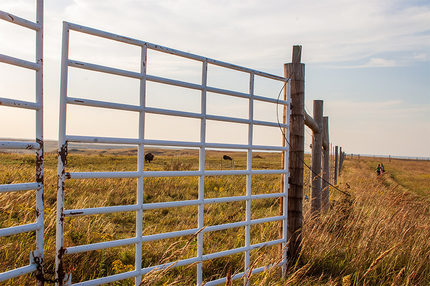 200805 mary-hammel-RIY9OfPpvYI-unsplash_prairie ks-1.42M