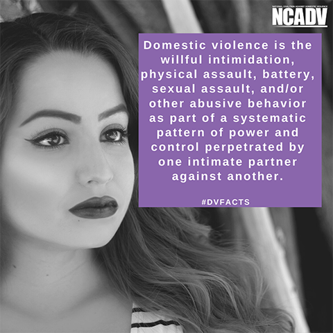 Image_domestic violence definition by NCADV The image shows a person’s face and text that is a domestic violence fact. The image is by the National Coalition Against Domestic Violence (NCADV).